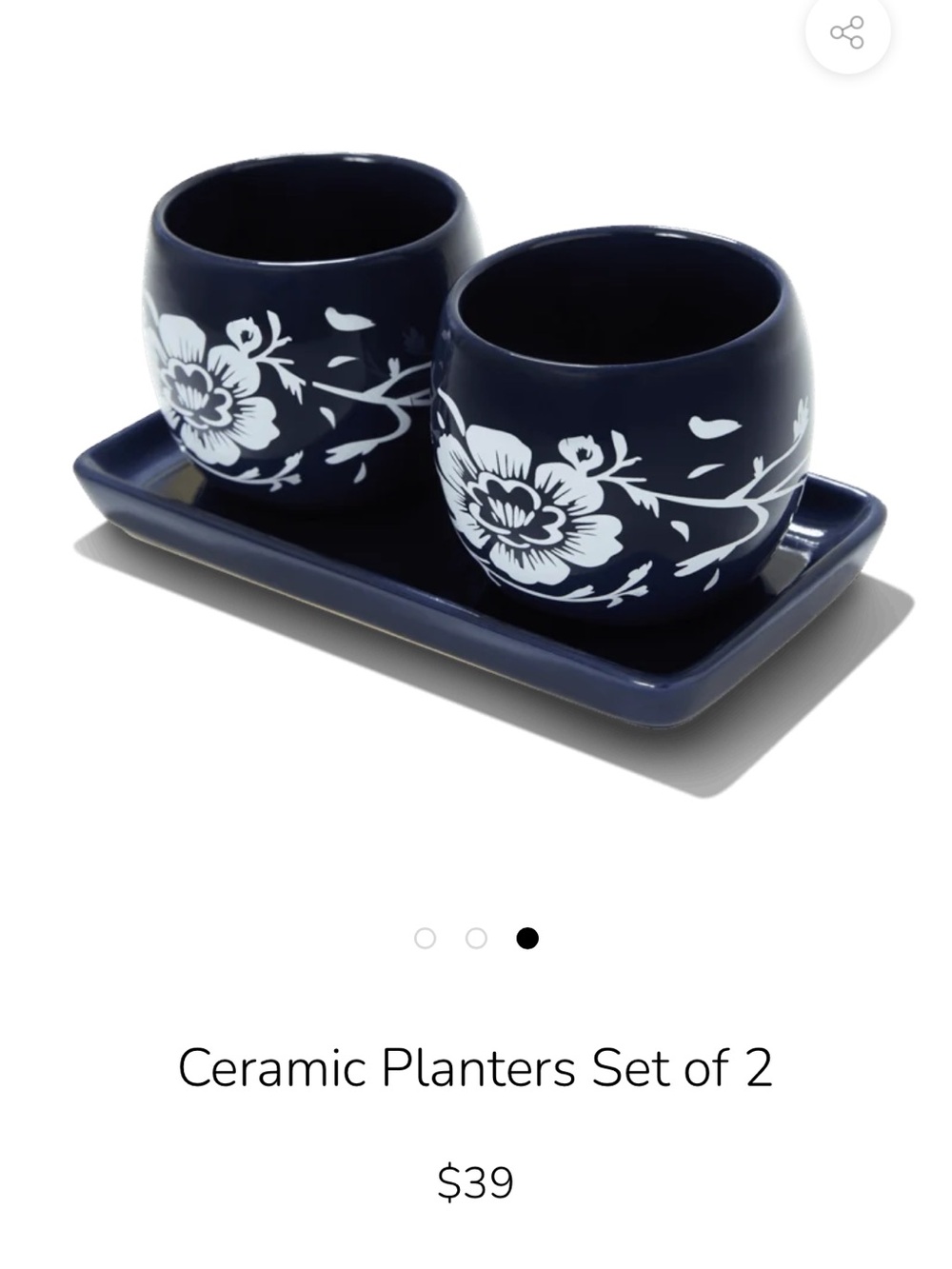 Summer & Rose Ceramic planters